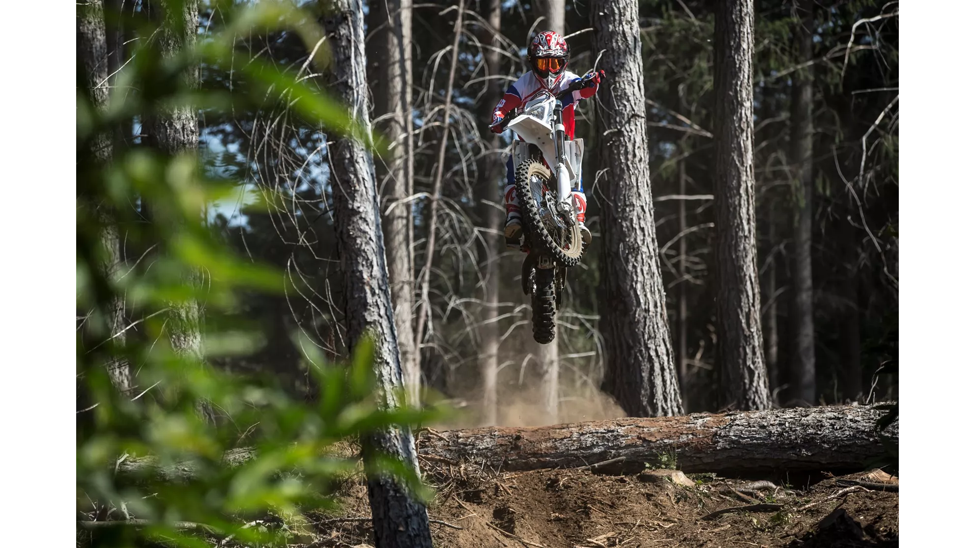 Beta RR 390 - Image 2 Beta RR 390 - Image 2