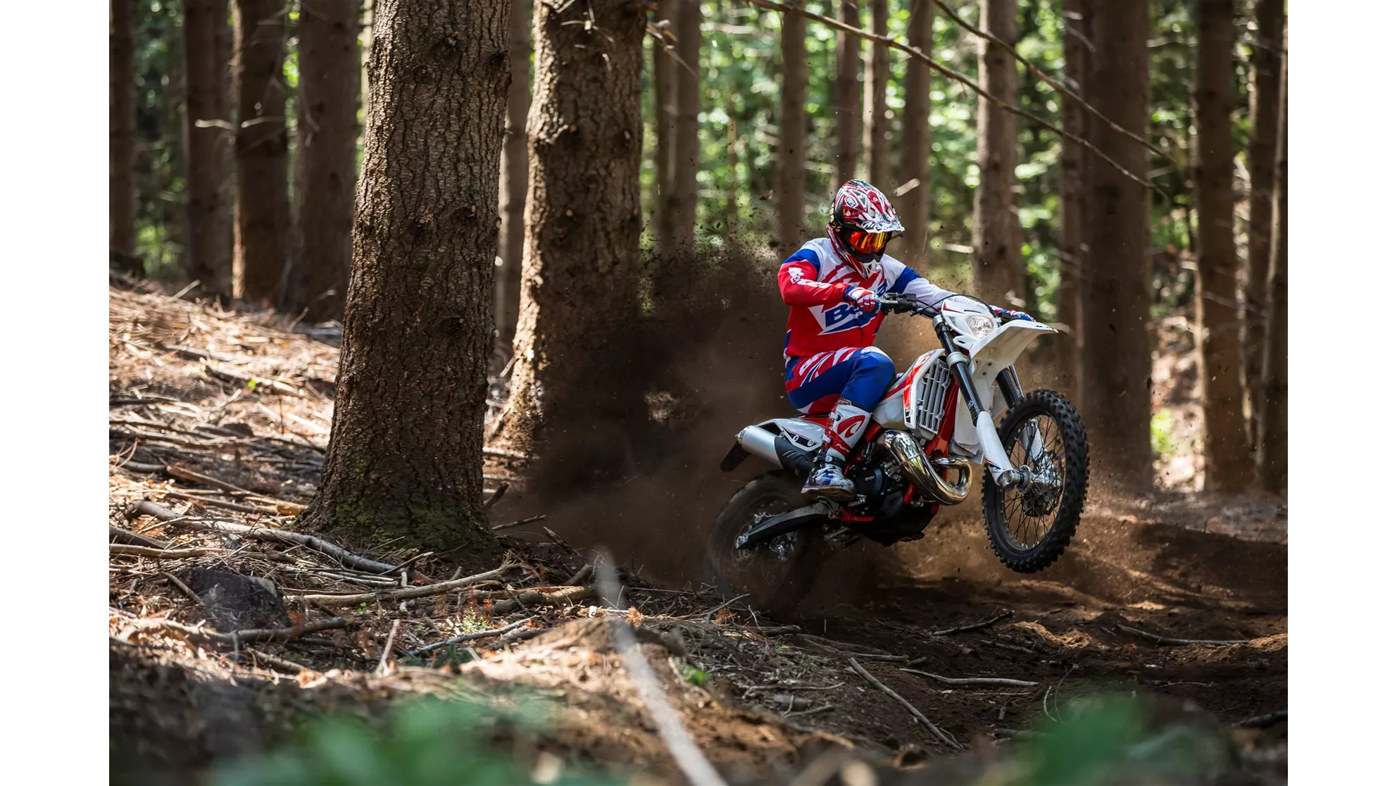 Beta RR 390 - Image 12 Beta RR 390 - Image 12