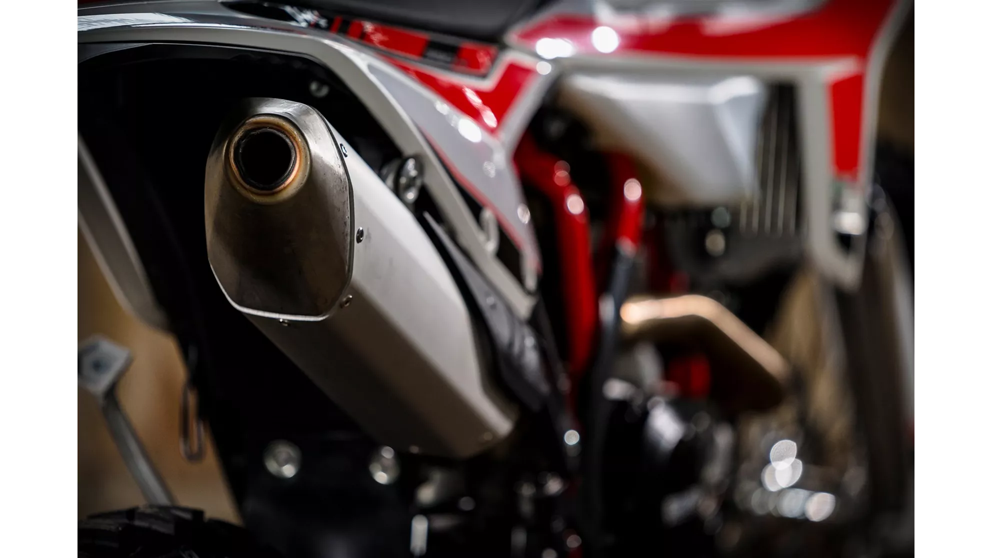 Beta RR 390 - Image 22 Beta RR 390 - Image 22