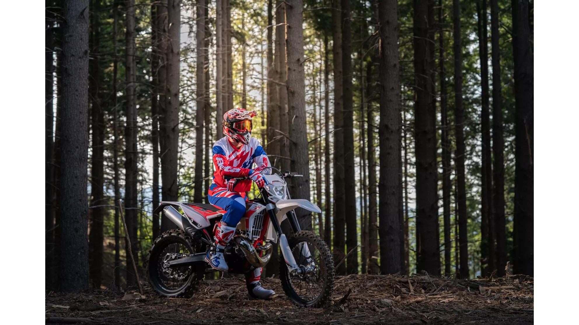 Beta RR 430 - Image 1 Beta RR 430 - Image 1