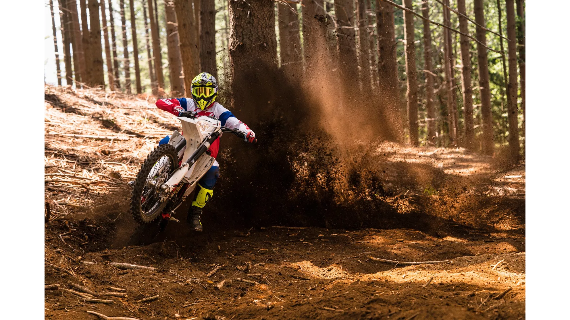 Beta RR 430 - Image 12 Beta RR 430 - Image 12