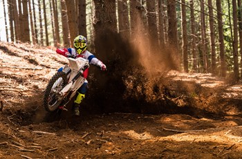 Beta RR 430 2020 - Bild 14