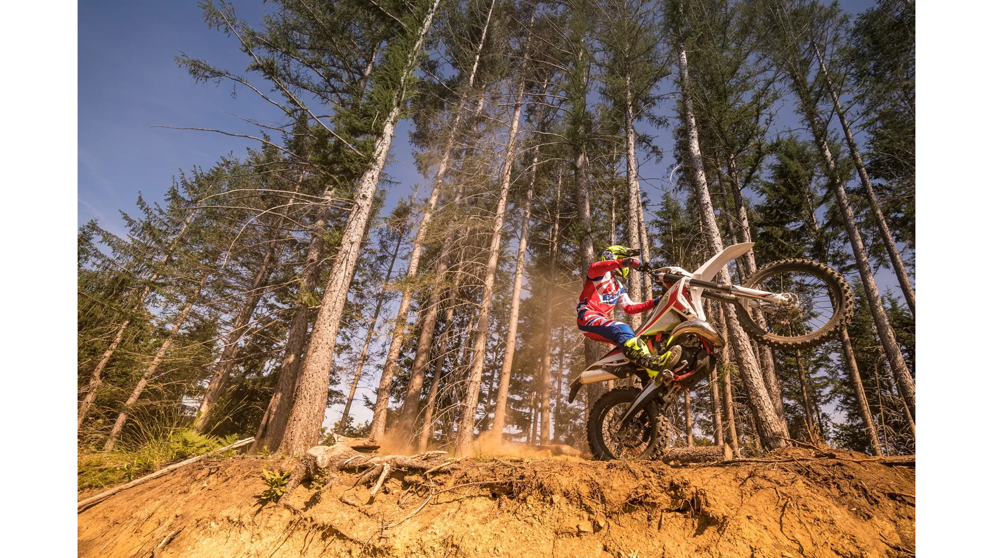 Beta RR 430 - Image 7 Beta RR 430 - Image 7