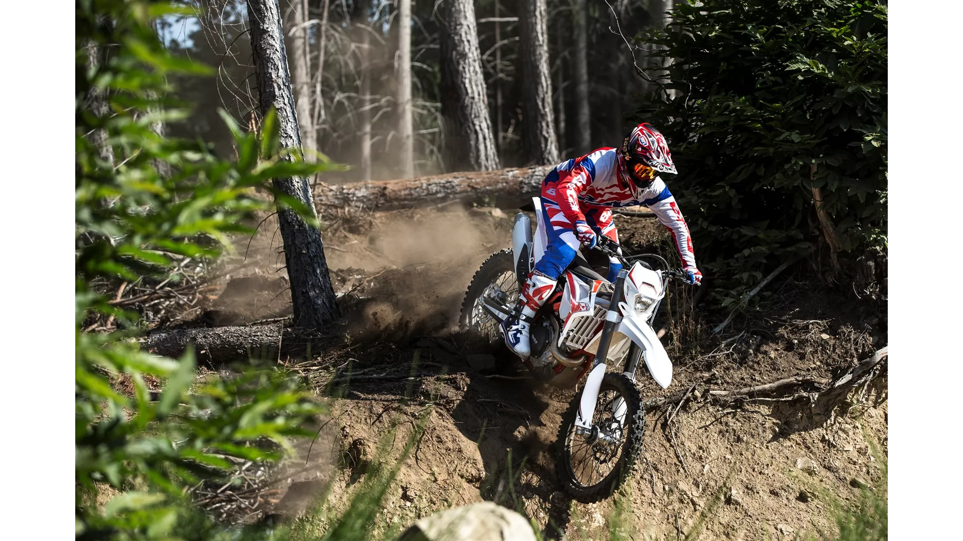 Beta RR 430 - Image 16 Beta RR 430 - Image 16