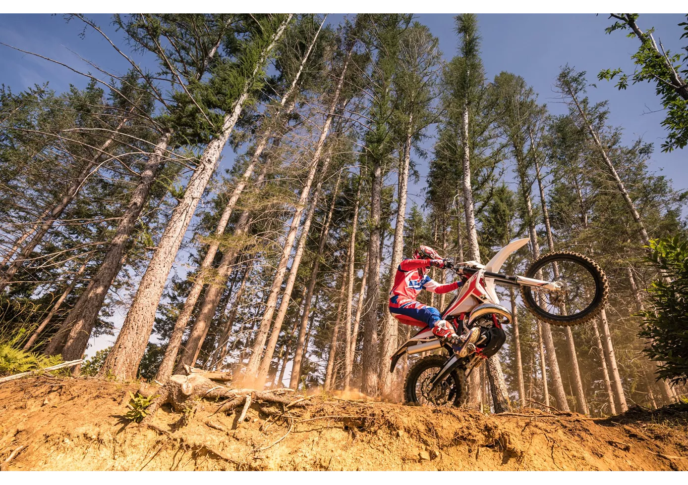 Beta RR 480 2020 Beta RR 480 2020