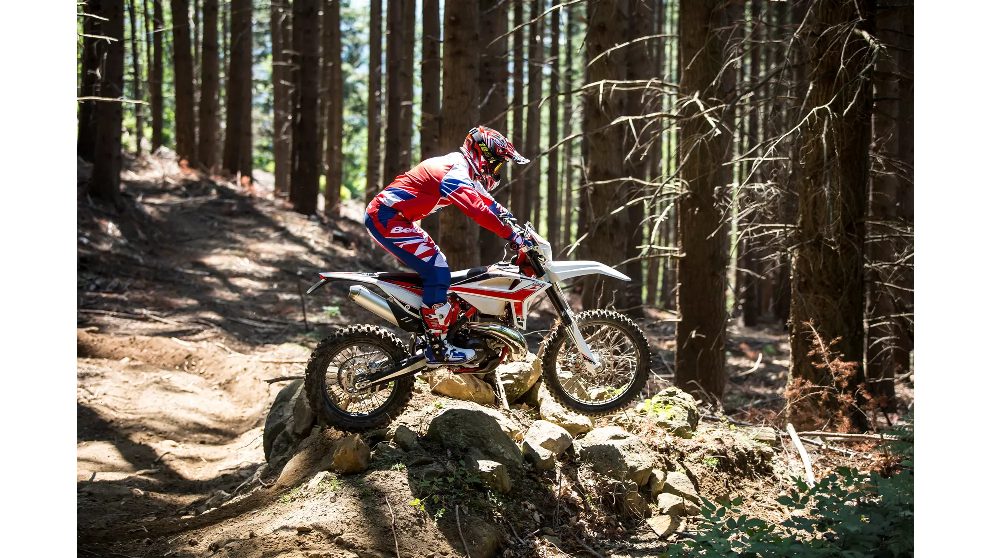 Beta RR 200 2T - Image 14 Beta RR 200 2T - Image 14