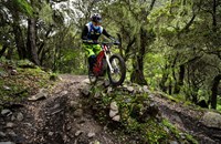 Sur-Ron Firefly Offroad 2020 - Bild 1