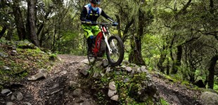 Sur-Ron Firefly Offroad 2020 vs Yamaha YZ250F 2012