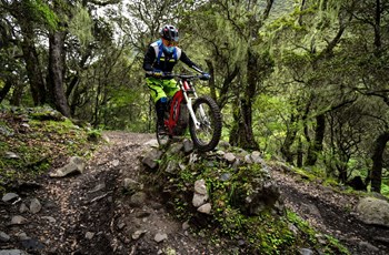 Sur-Ron Firefly Offroad 2020 - Bild 2 Sur-Ron Firefly Offroad 2020 - Bild 2