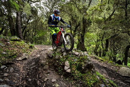 Sur-Ron Firefly Offroad 2020 Sur-Ron Firefly Offroad 2020