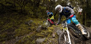 Husqvarna FC 450 2025 vs Sur-Ron Firefly Offroad Performance 2020