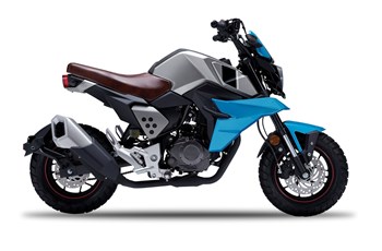 FK Motors FK 12 MS Mini Scrambler 2020 - Bild 2