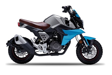 FK Motors FK 12 MS Mini Scrambler 2020