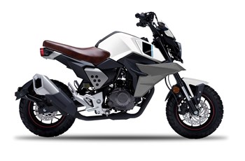 FK Motors FK 12 MS Mini Scrambler 2020 - Bild 3