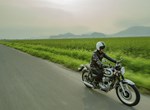 Kawasaki W800
