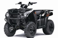 Kawasaki Brute Force 300 2020 - Bild 5