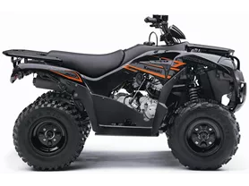Kawasaki Brute Force 300 Kawasaki Brute Force 300