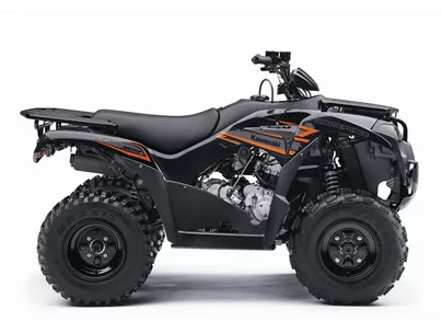 Kawasaki Brute Force 300 2020 Kawasaki Brute Force 300 2020