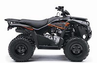 Kawasaki Brute Force 300 2020 - Bild 1