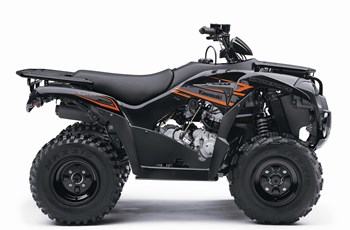 Kawasaki Brute Force 300 2020 - Bild 2