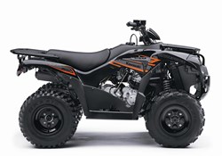 Kawasaki Brute Force 300 2020