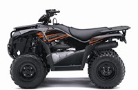 Kawasaki Brute Force 300 2020 - Bild 8