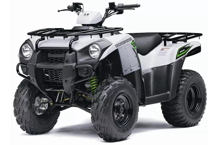 Kawasaki Brute Force 300 2020 Kawasaki Brute Force 300 2020