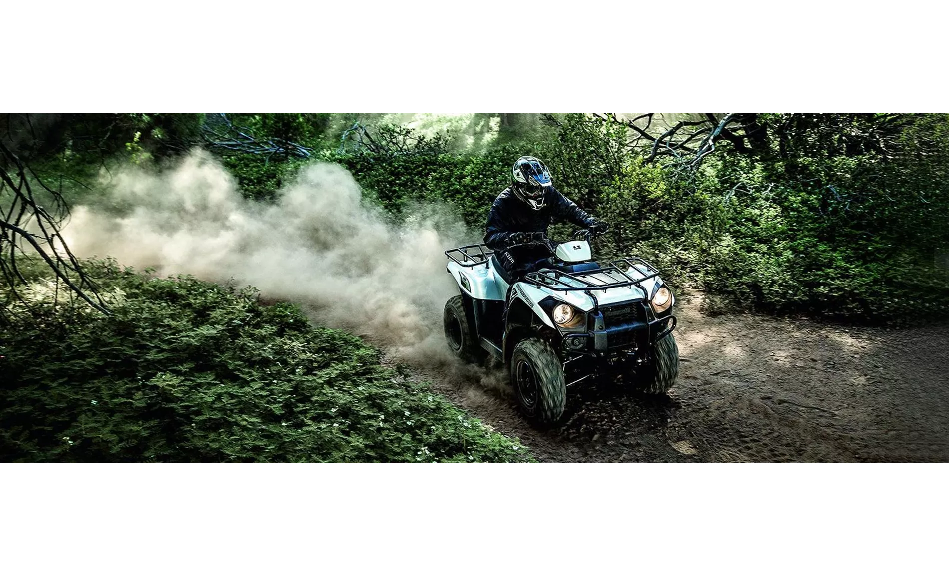 Kawasaki Brute Force 300 2020 Kawasaki Brute Force 300 2020