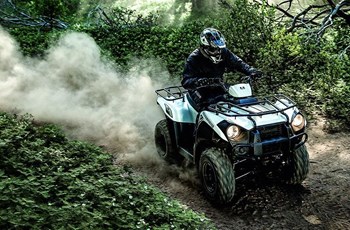 Kawasaki Brute Force 300 2020 - Bild 3