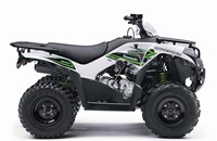 Kawasaki Brute Force 300 2020 - Bild 9