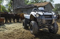 Kawasaki Brute Force 300 2020 - Bild 6