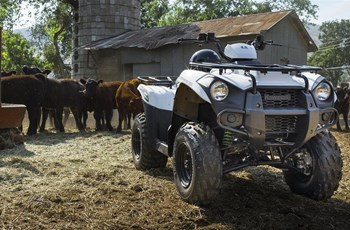 Kawasaki Brute Force 300 2020 - Bild 6