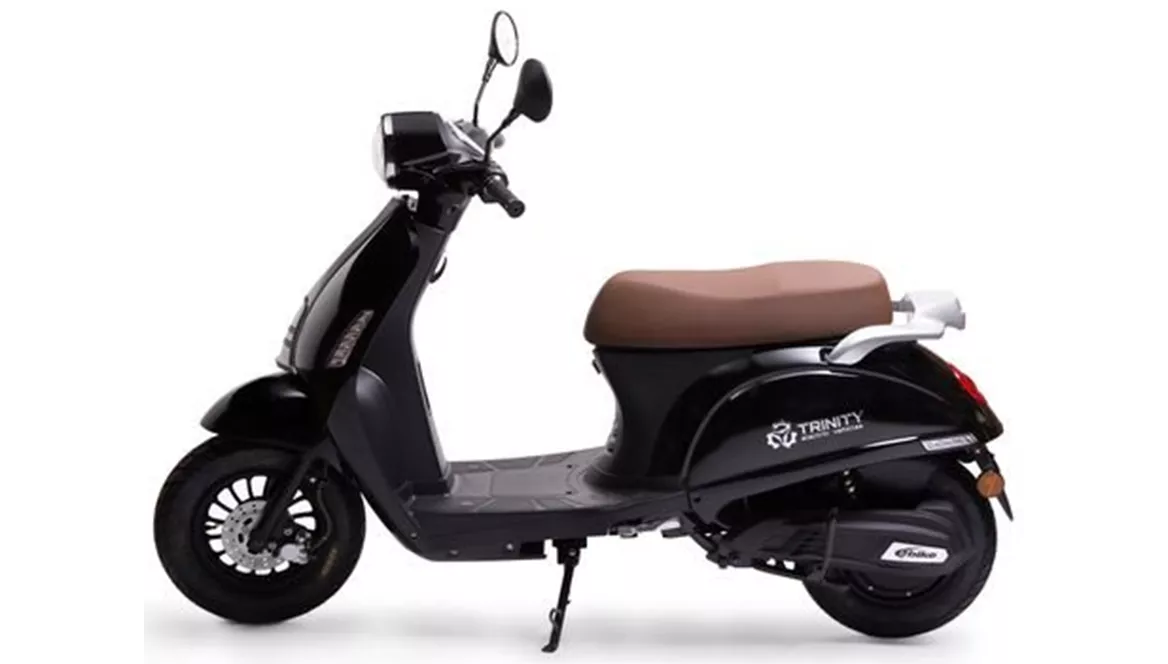 Trinity Venus 2020 Trinity Venus 2020