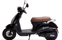 Trinity Venus 2020 - Bild 1