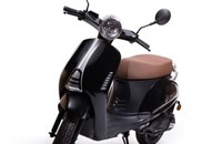 Trinity Venus 2020 - Bild 4