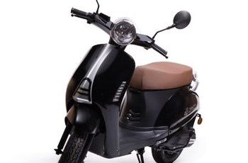 Trinity Venus 2020 - Bild 4