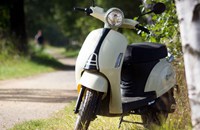 Trinity Venus 2020 - Bild 6