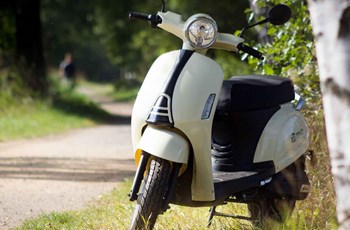 Trinity Venus 2020 - Bild 6