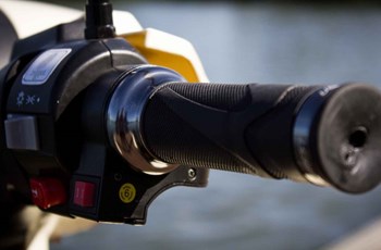 Trinity Venus 2020 - Bild 8