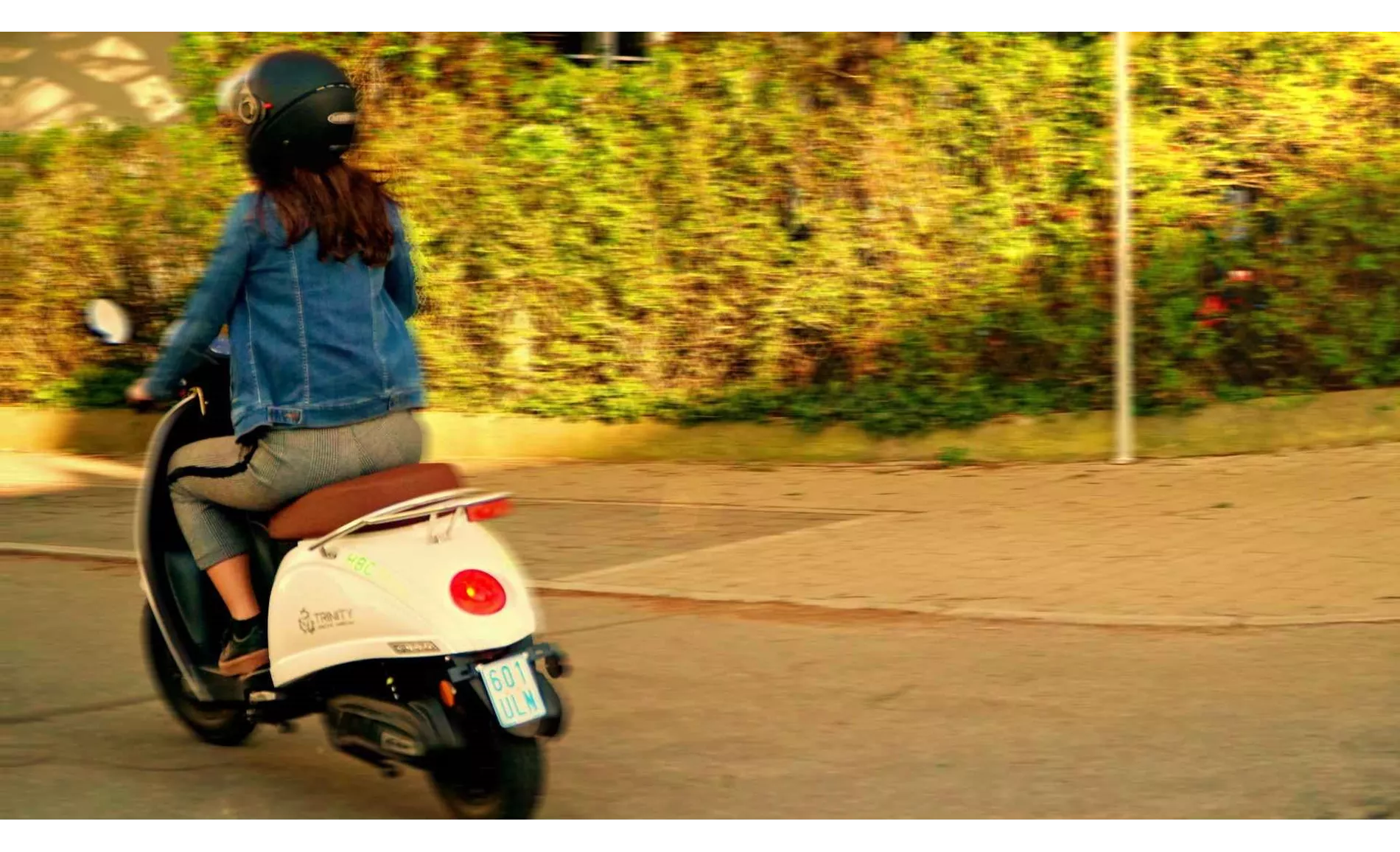 Trinity Venus 2020 Trinity Venus 2020