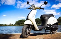 Trinity Venus 2020 - Bild 13