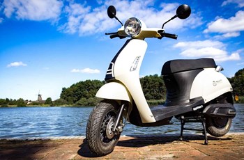 Trinity Venus 2020 - Bild 13