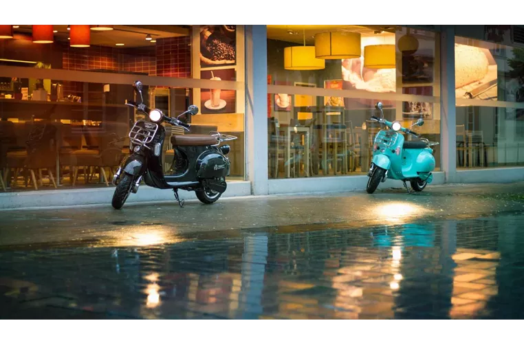 Trinity Romex 2020 Trinity Romex 2020