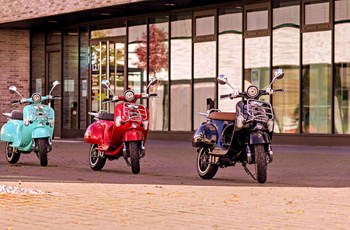 Trinity Romex 2020 - Bild 10