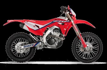 Red Moto CRF 300RX Enduro 2020 - Bild 2