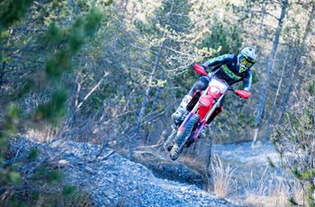 Red Moto CRF 300RX Enduro Special 2020 - Bild 3