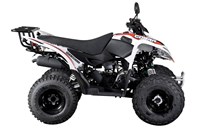 Aeon Cobra 50 2020 - Bild 6