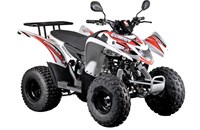 Aeon Cobra 50 2020 - Bild 8