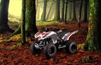 Aeon Cobra 50 2020 - Bild 9