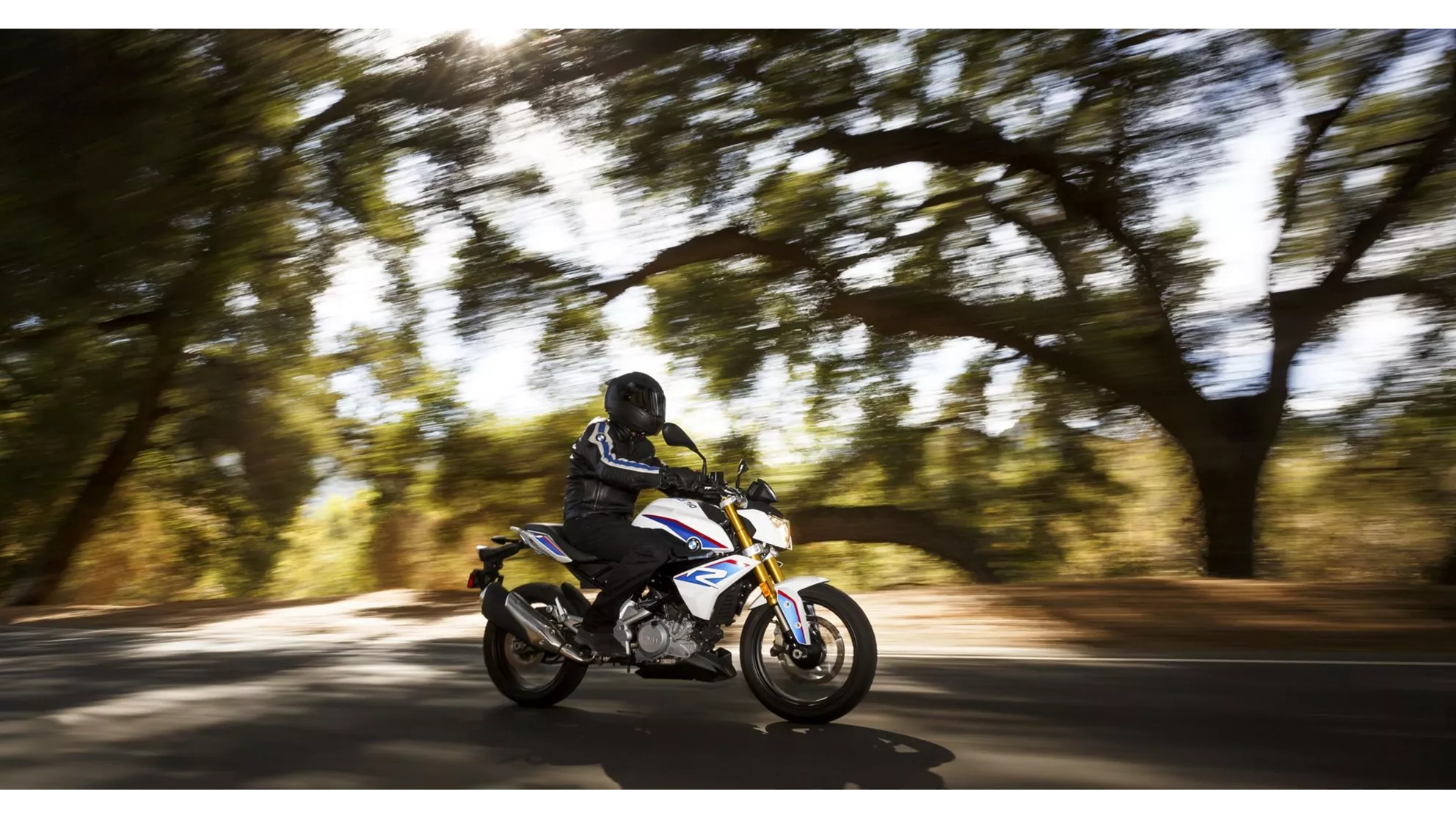 BMW G 310 R - Image 19 BMW G 310 R - Image 19